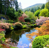 arboretum