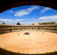 arena arena
