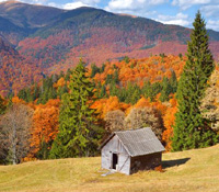autumn