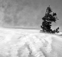 blizzard