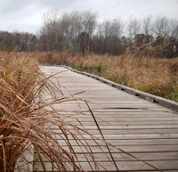 boardwalk