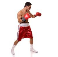 boxer