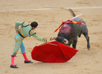 bullfighting