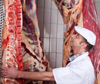 butcher