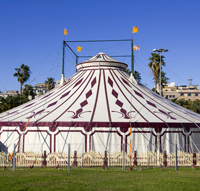 circus