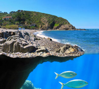 coastline