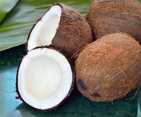 coco