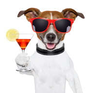 congratulation congratulation