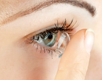 contacts