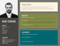 curriculum vitae