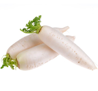 daikon radish