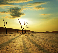 desolate