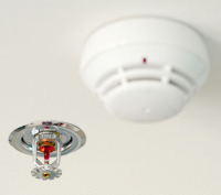 detector