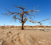 drought