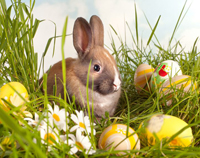 Easter