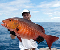 fish