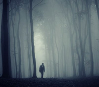 fog