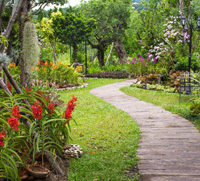 garden