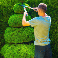 gardener