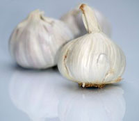 garlic