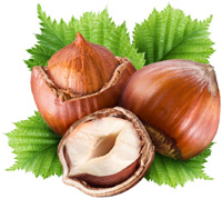 hazelnut