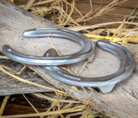 horseshoe