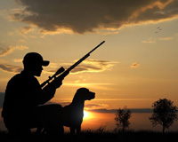 hunt