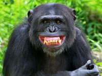 laughing