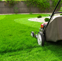 lawn