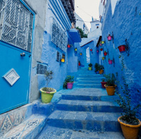 light blue