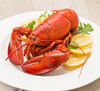 lobster