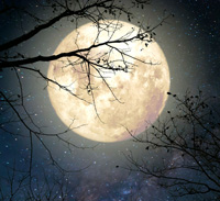 lunar