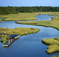 marsh