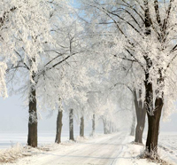 midwinter