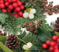 mistletoe