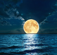 moonlight