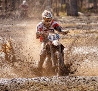 muddy