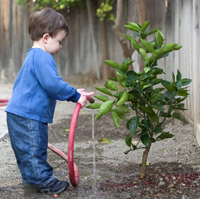 nurture nurture