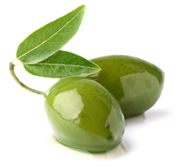 olive
