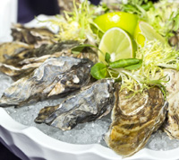 oyster