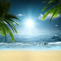 paradise