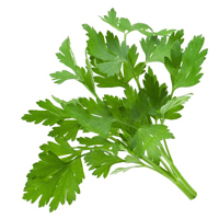 parsley