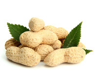 peanut