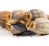 poppy seeds