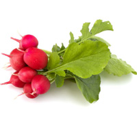 radish