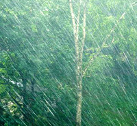 rainfall