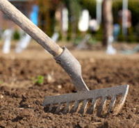 rake rake