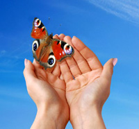 release