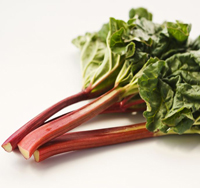 rhubarb