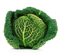 savoy cabbage